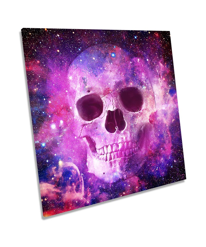 Cosmic Skull Fantasy Pink