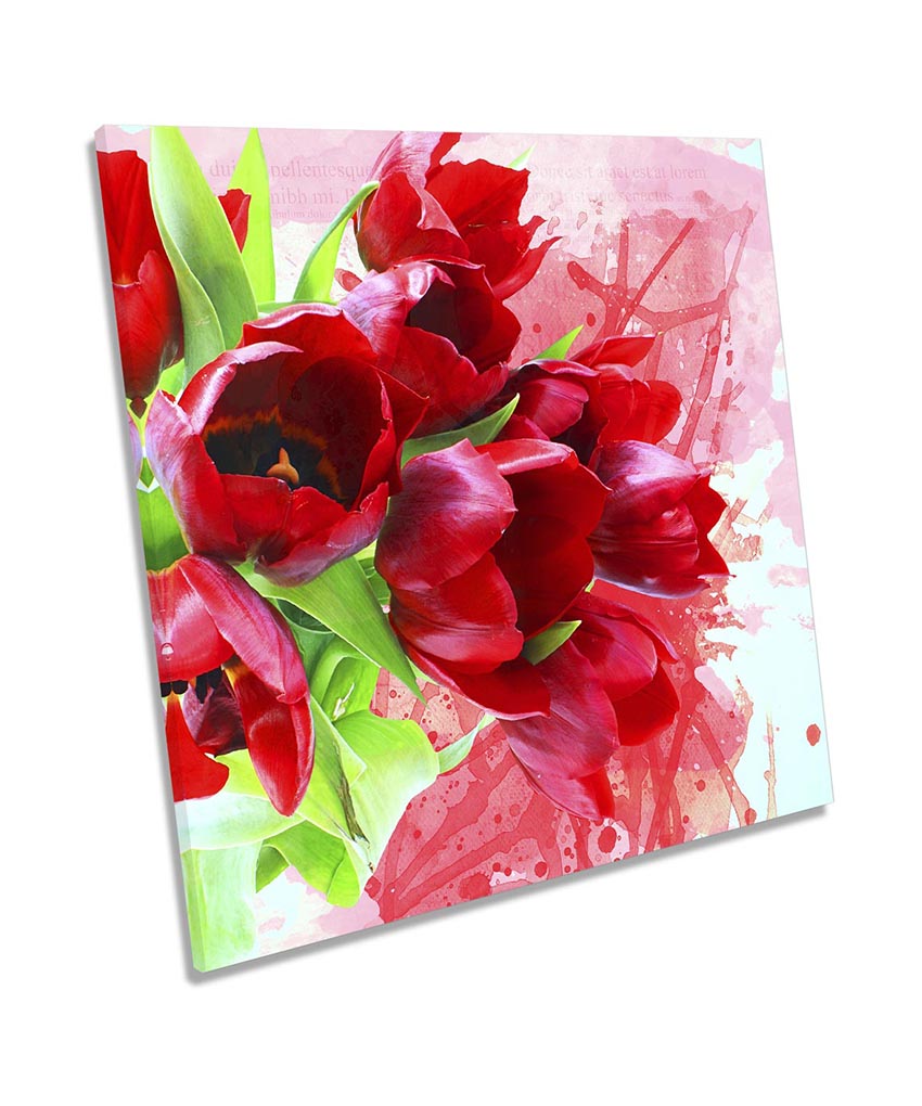 Grunge Tulips Flowers Red
