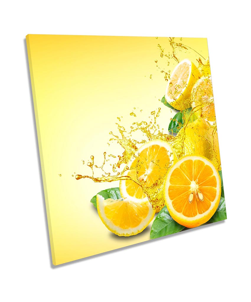 Fruit Slices Splash Kitchen Orange