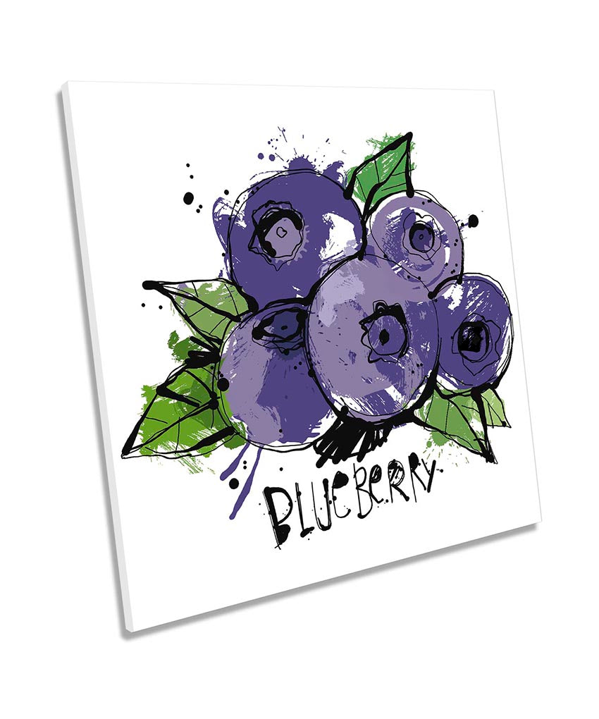Blueberry Sketch Kitchen Purple