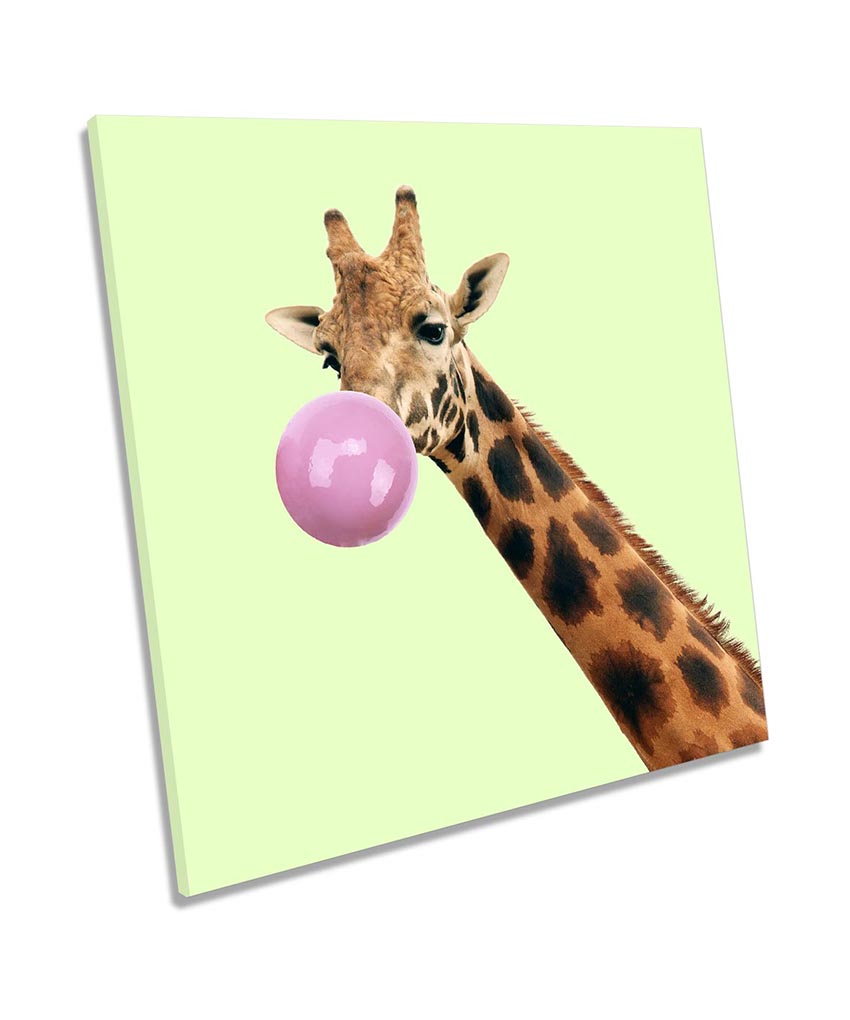 Giraffe Bubble Gum Green