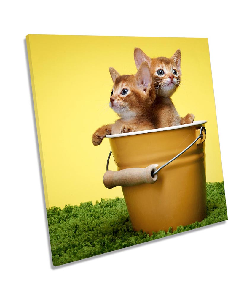 Cute Kitten Cats Bucket Yellow