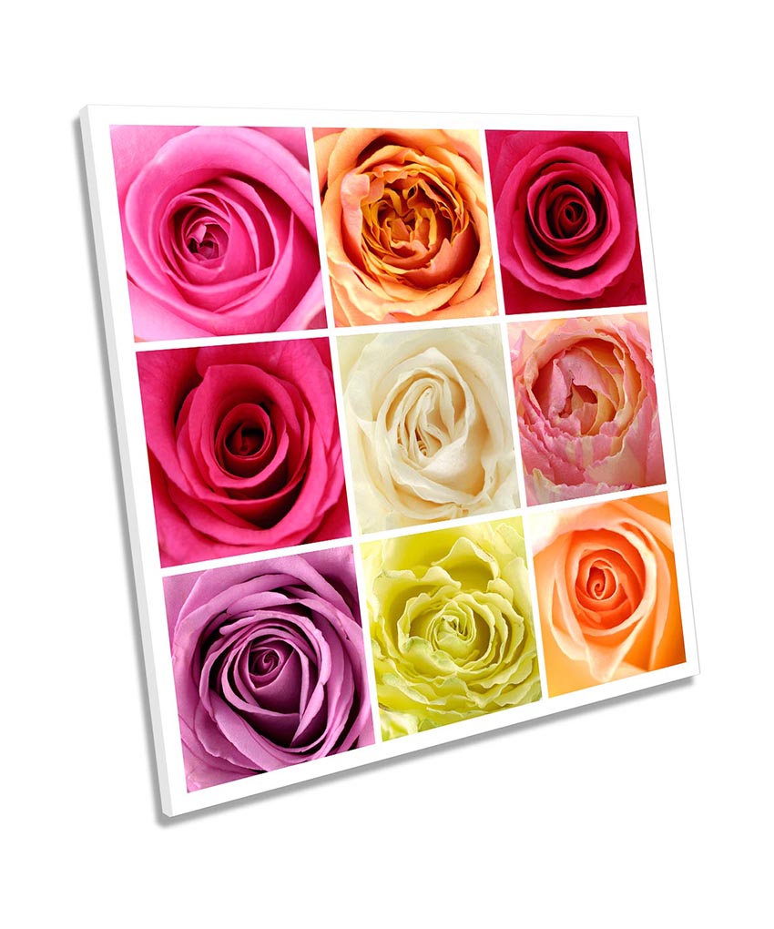 Rose Flower Floral Collage Multi-Coloured