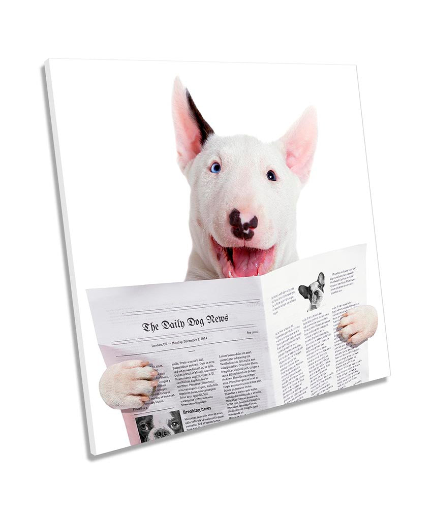Funny Bull Terrier Dog Newspaper White