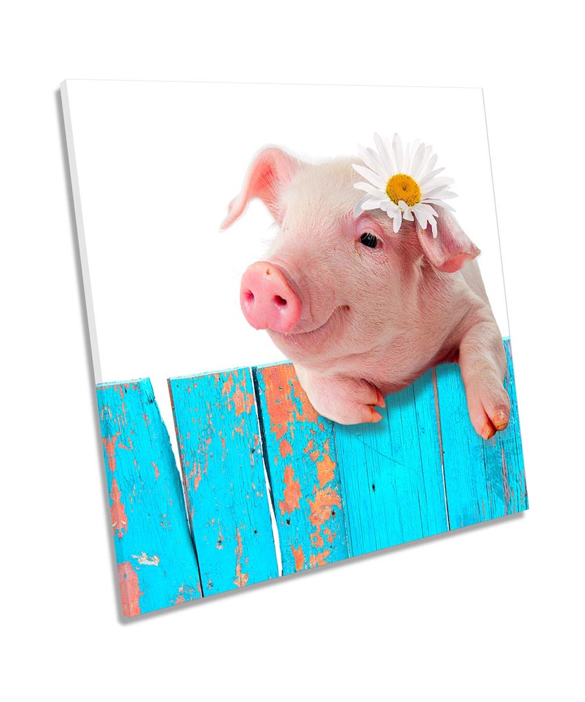 Cute Pig Daisy Flower Pink