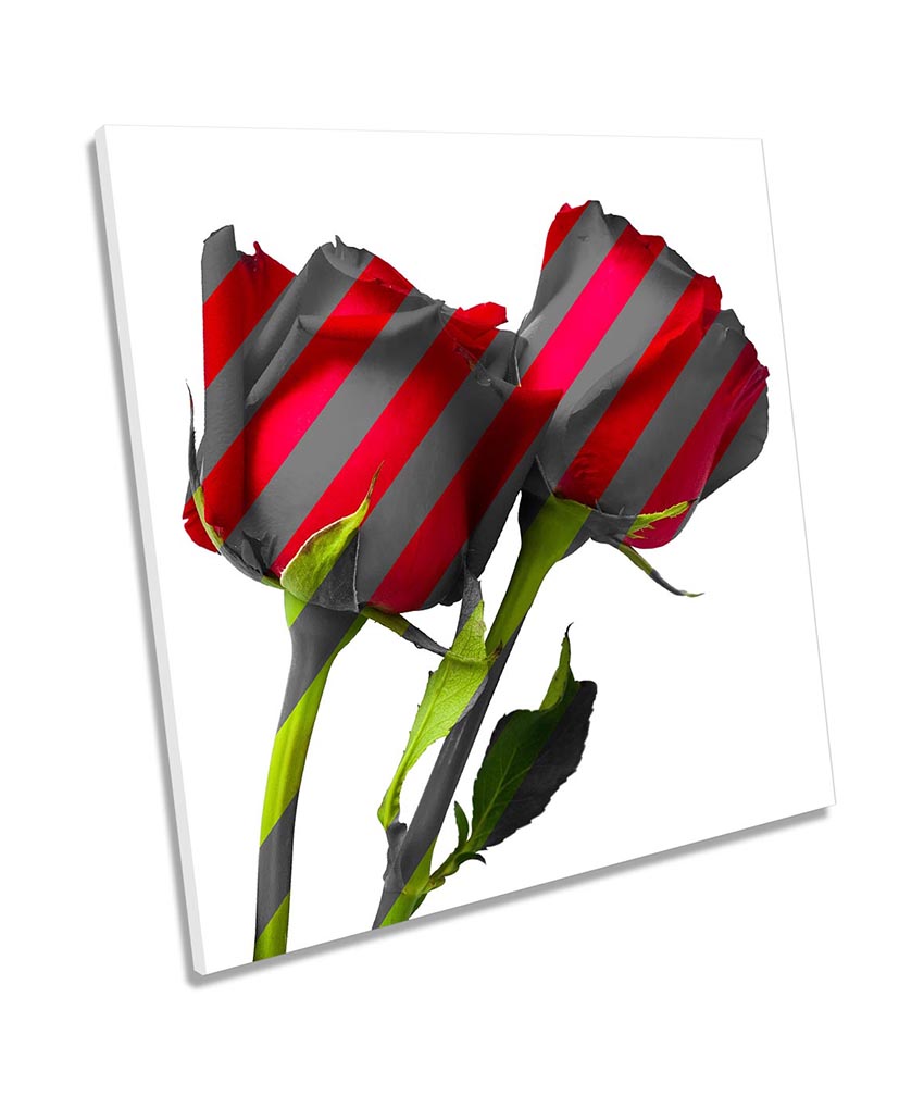 Rose Flower Striped Red