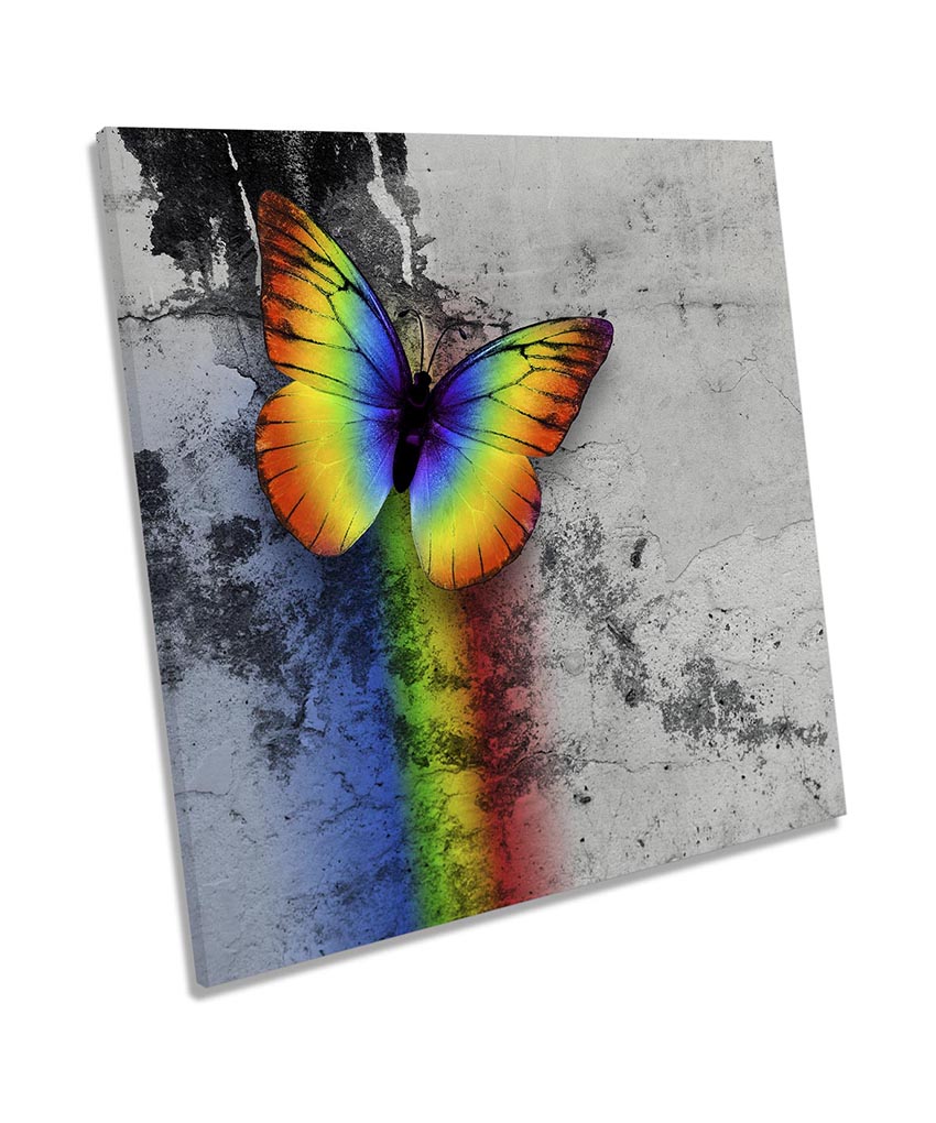 Rainbow Butterfly Multi-Coloured