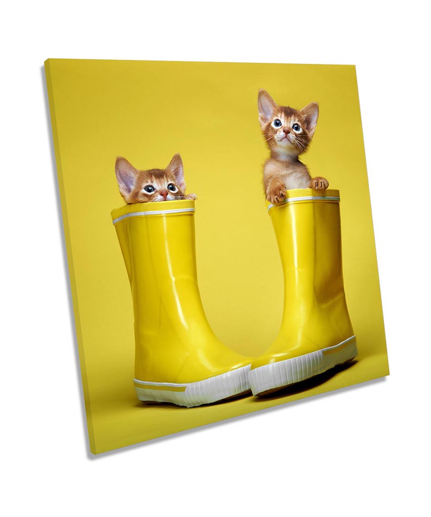 Cute Kitten Cats Wellies Yellow