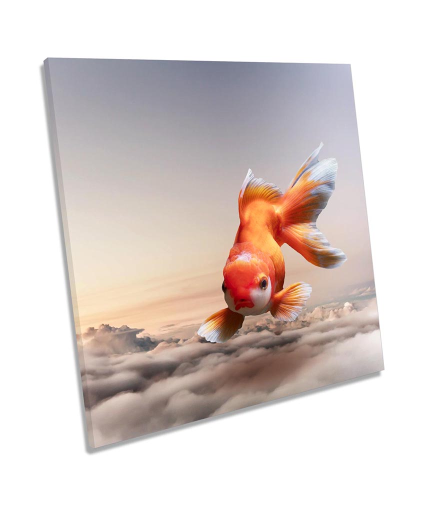 Surreal Goldfish Modern Sky Orange