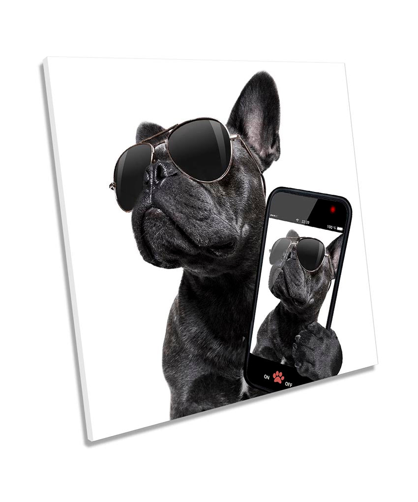 French Bulldog Selfie Black