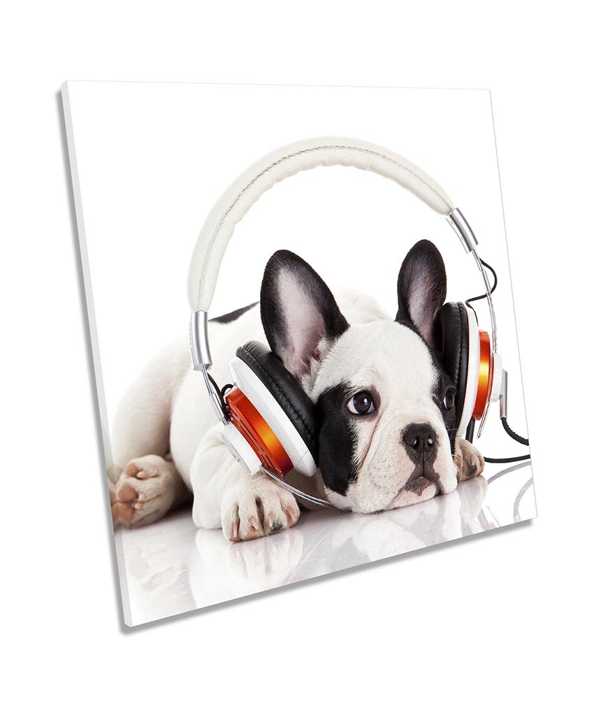 French Bulldog Puppy Music White