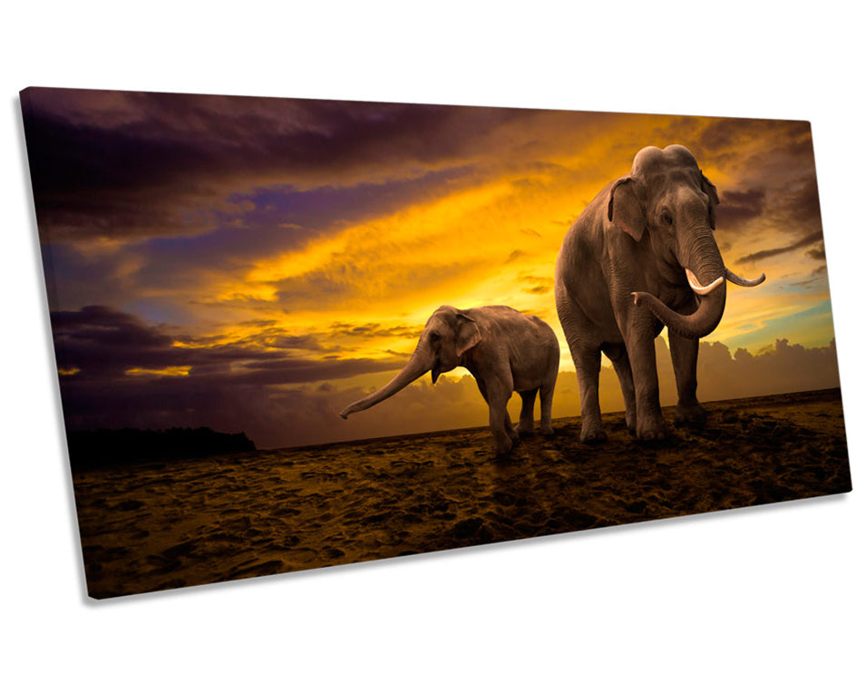 Elephants Sunset Africa Safari