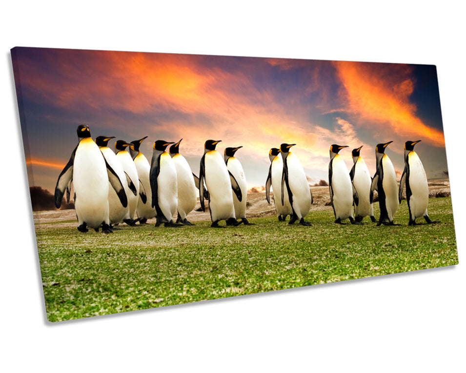 Penguins March Sunset