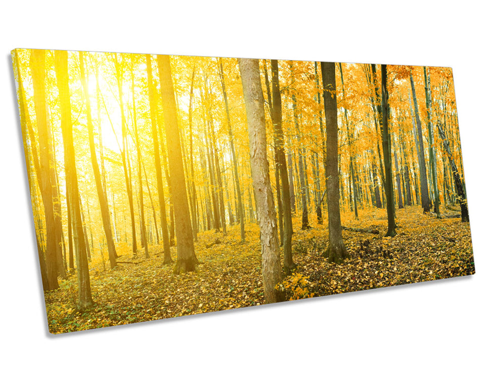 Yellow Forest Sunset Landscape