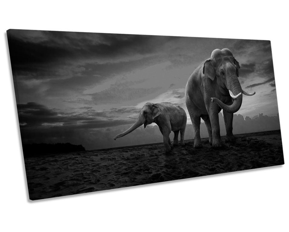 Elephants Sunset Africa Safari B&W