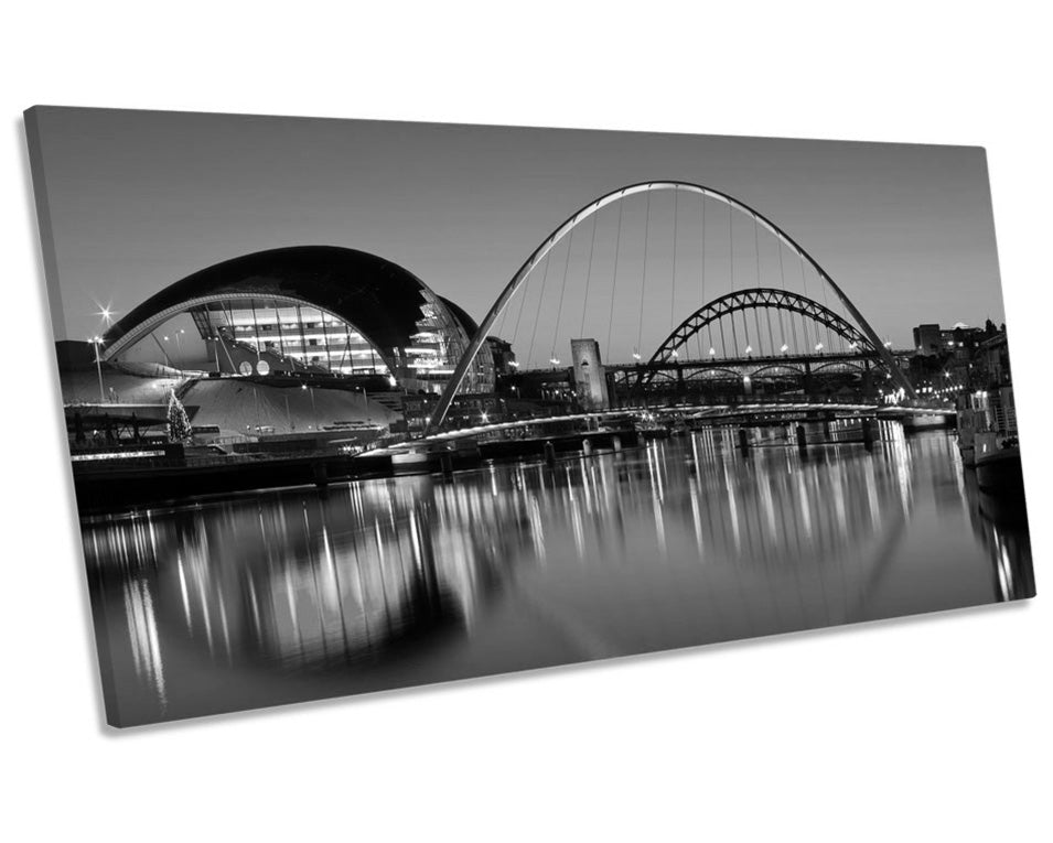 Newcastle Tyne Bridges River City B&W
