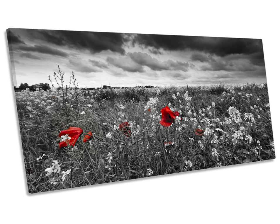 Red Poppies Flowers Field