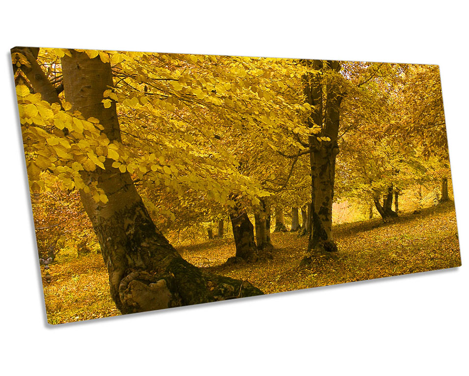 Yellow Landscape Trees Autumn Picture