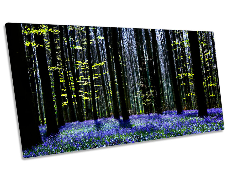 Forest Trees Blossom Dark Picture