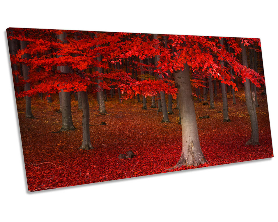 Red Forest Landscape Picture