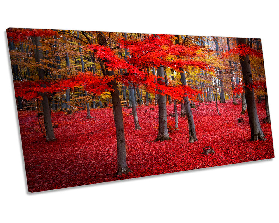 Red Landscape Forest Picture