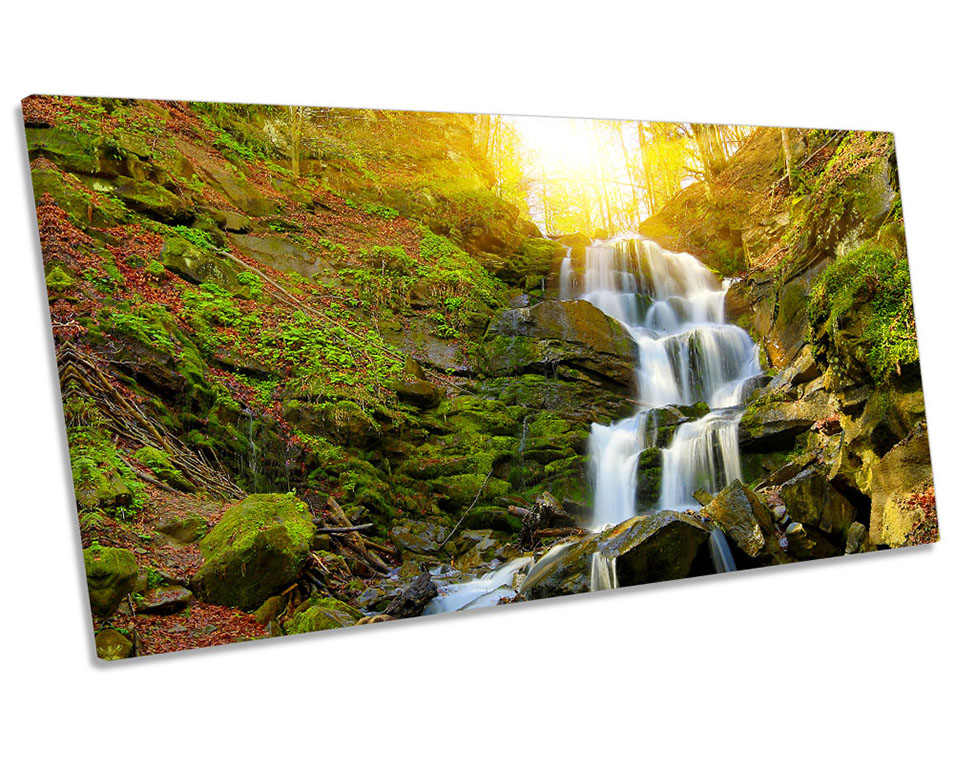 Sunset Forest Waterfall Picture