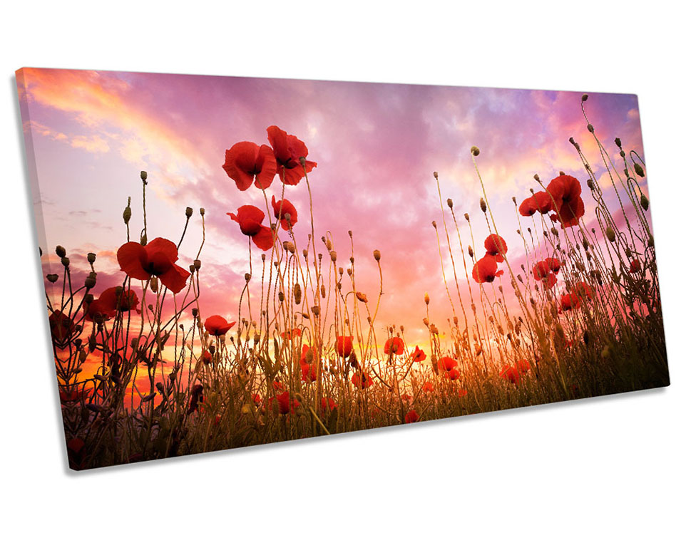 Red Poppies Sunset Floral Picture