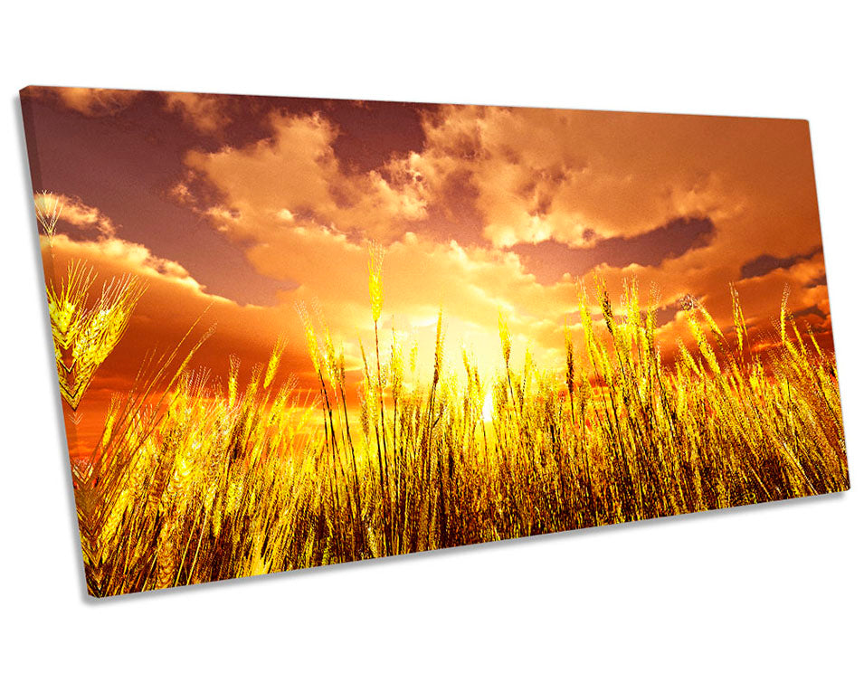 Sunset Yellow Wheat Field
