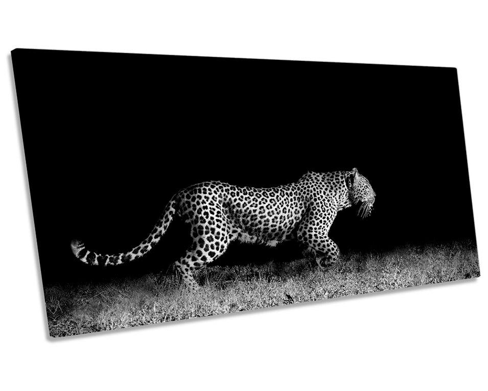 Leopard Big Cat Black & White