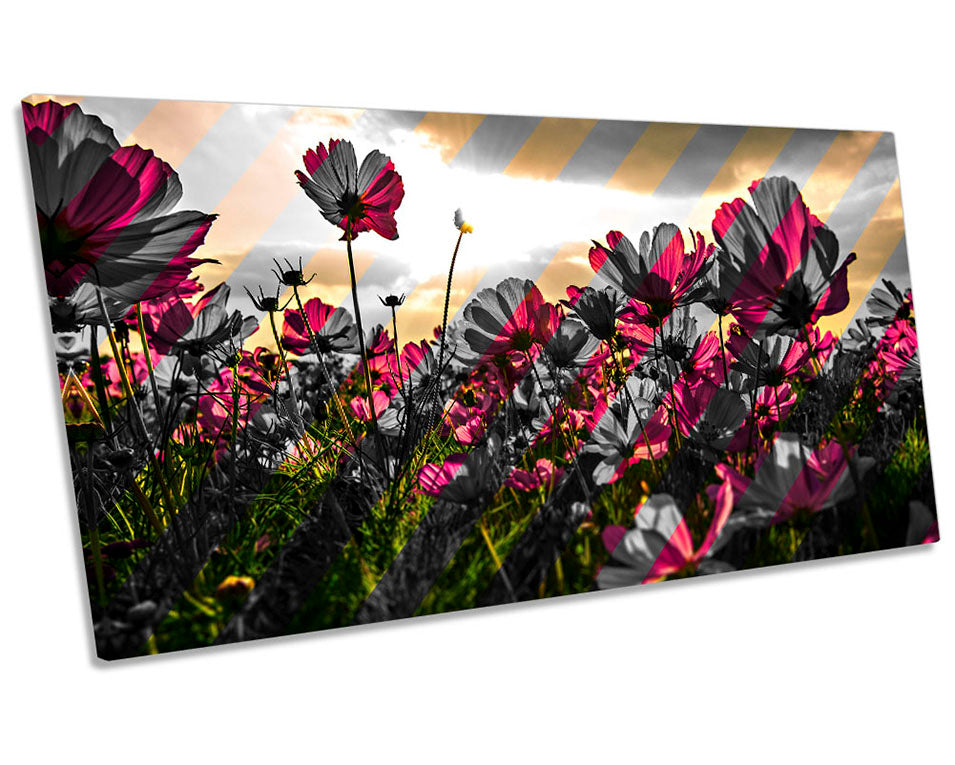 Modern Striped Flowers Multi-Coloured