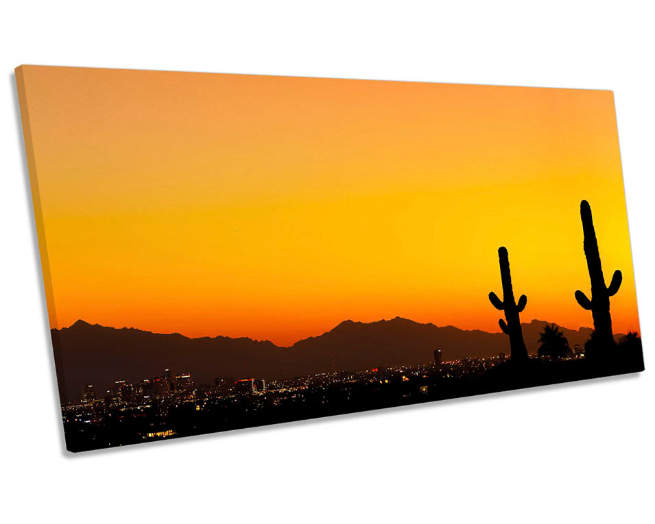 Phoenix Sunset Cactus Orange