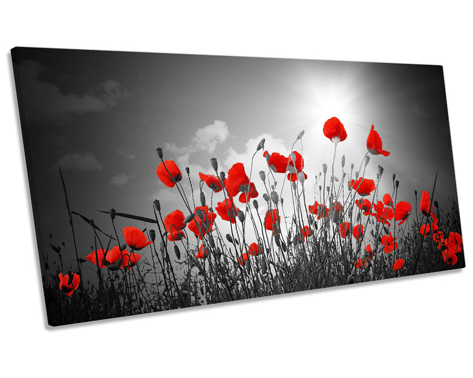 Red Poppy Flowers Floral Grey