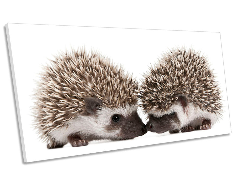 Cute Hedgehogs White