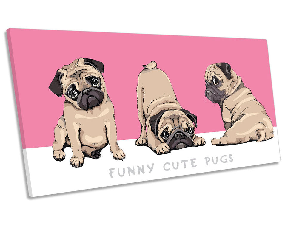 Three Funny Cute Pugs Pink