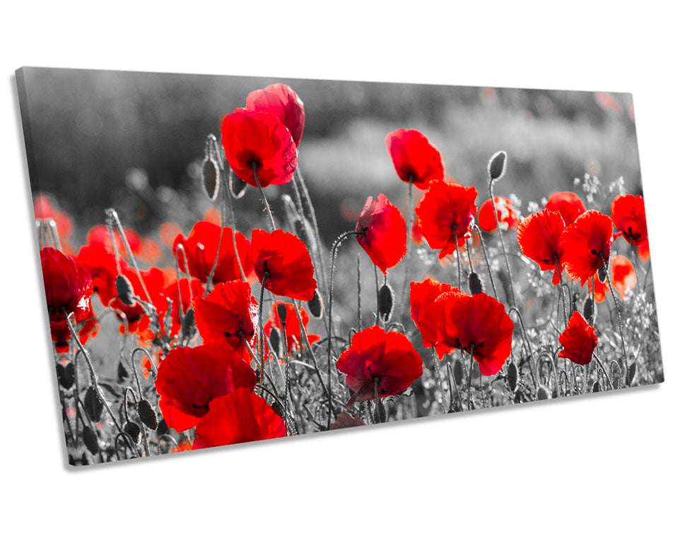 Red Poppies Floral Flower Grey
