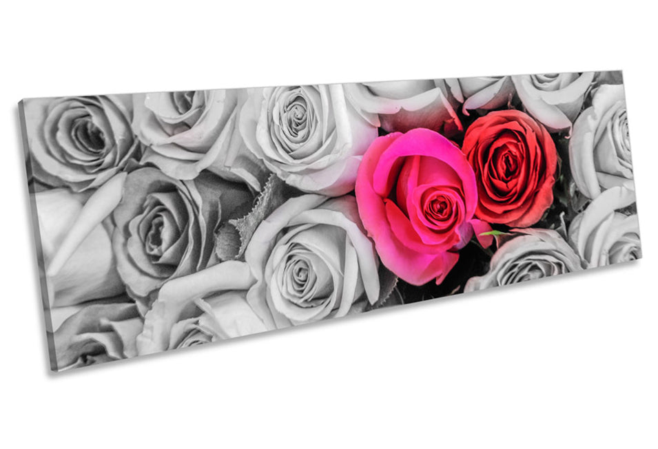 Roses Flowers Floral Love