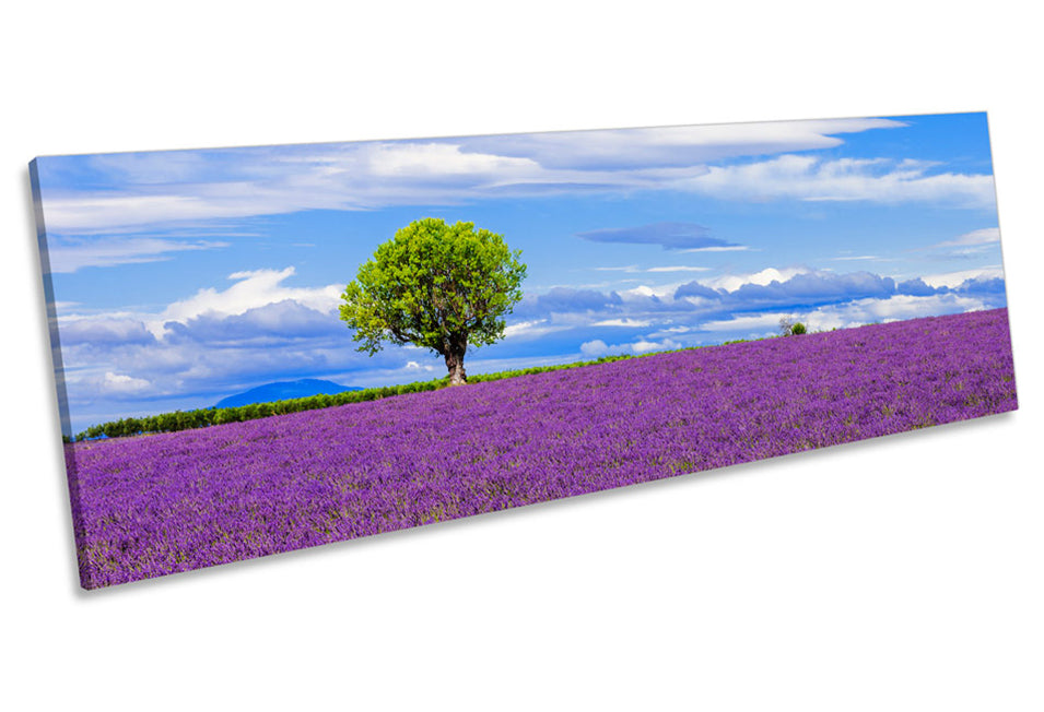 Lavender Purple Landscape