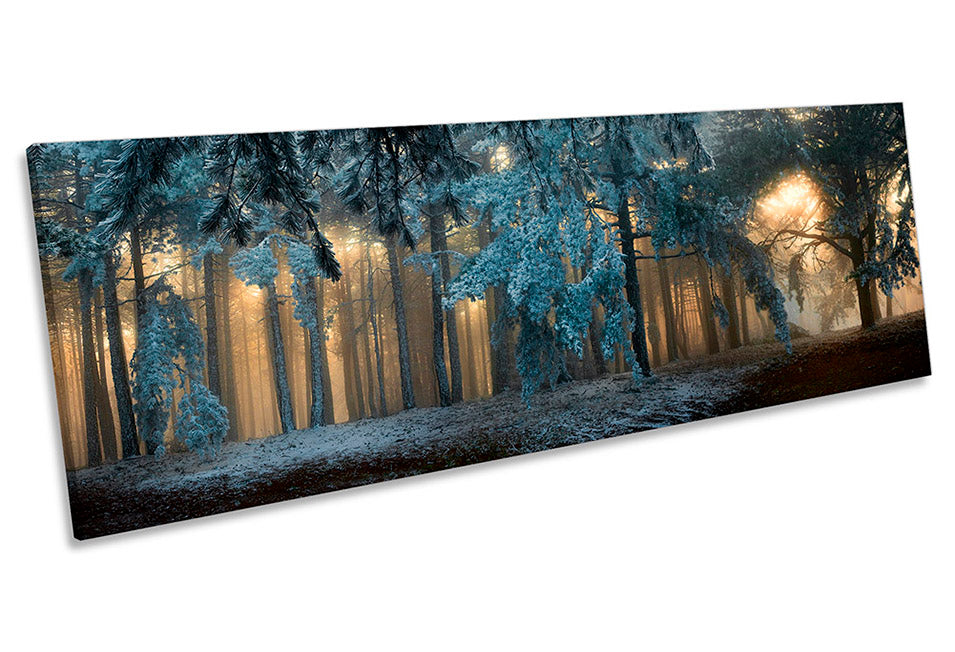 Winter Forest Night Landscape