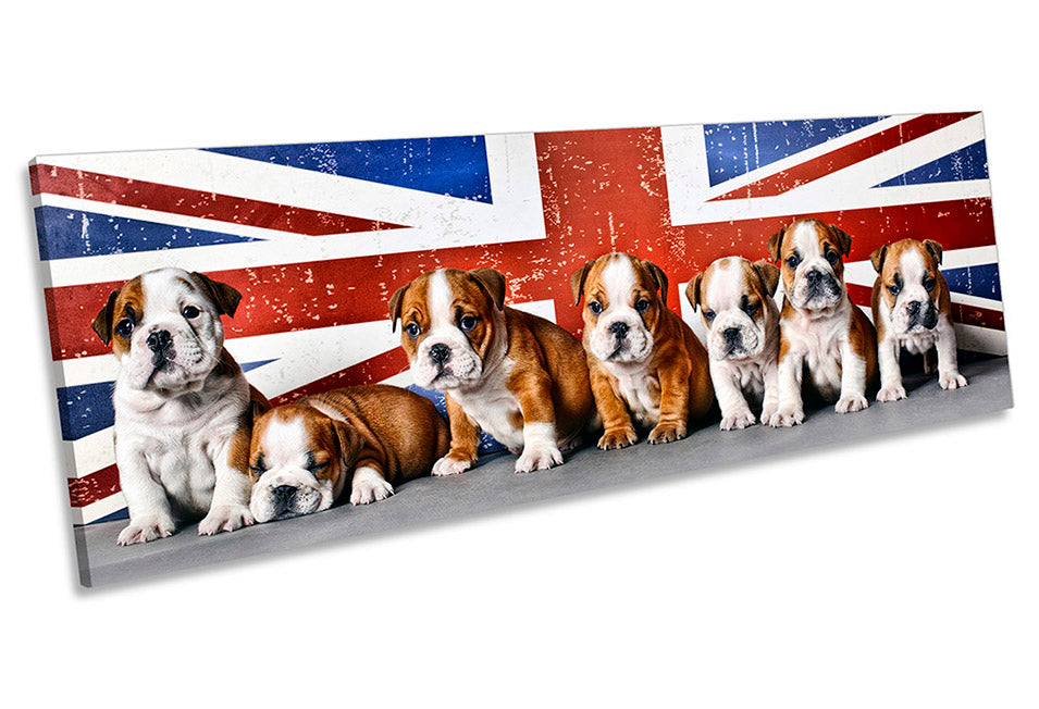 British Bulldogs Union Jack