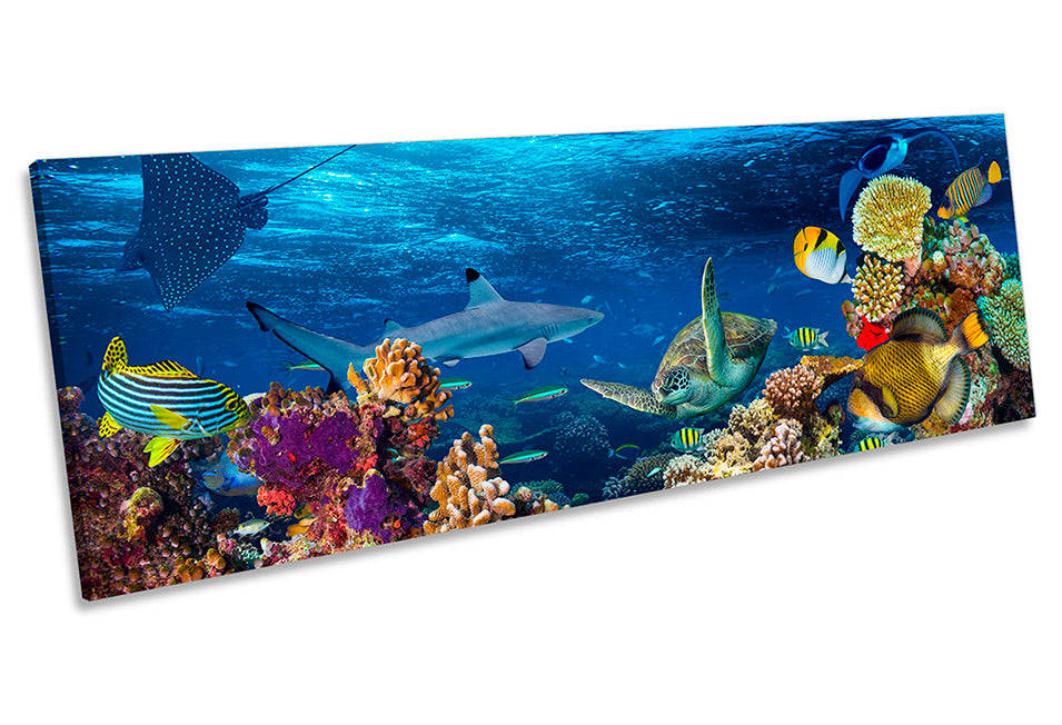 Underwater Coral Reef Fish