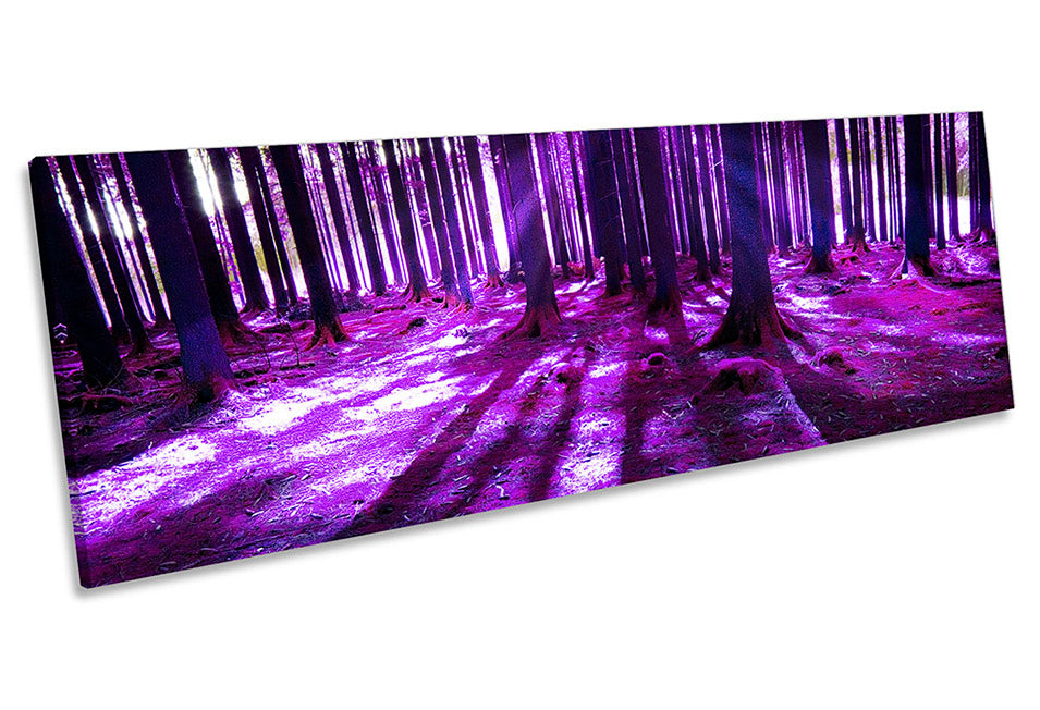 Forest Landscape Sunrise Purple