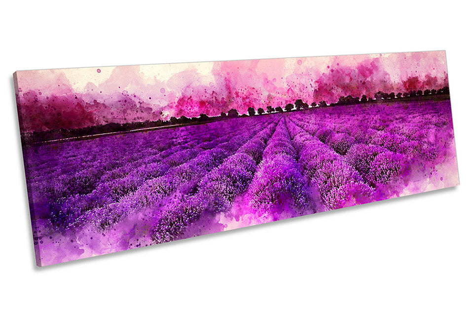 Lavander Field Landscape Purple