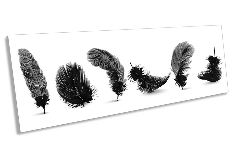 Feathers Minimalistic Black & White