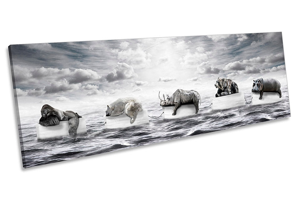 Animals Sleeping Icebergs Grey
