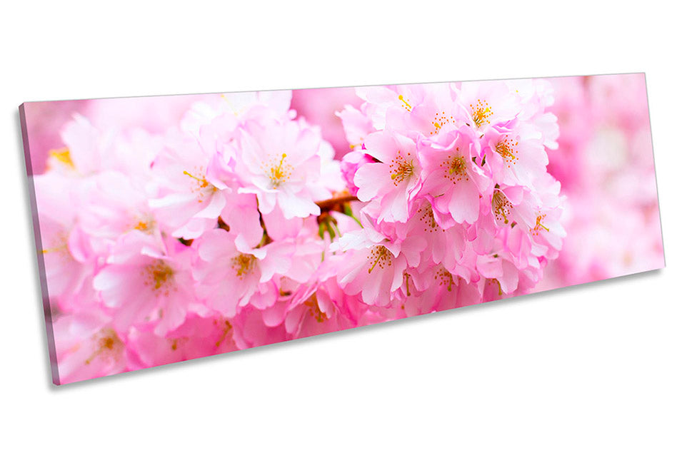 Cherry Blossom Floral Pink