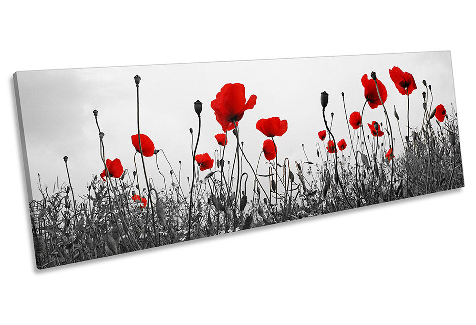 Red Poppies Flowers Floral Grey