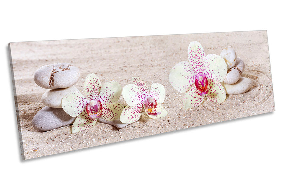 Zen Stones Spa Orchids Pink