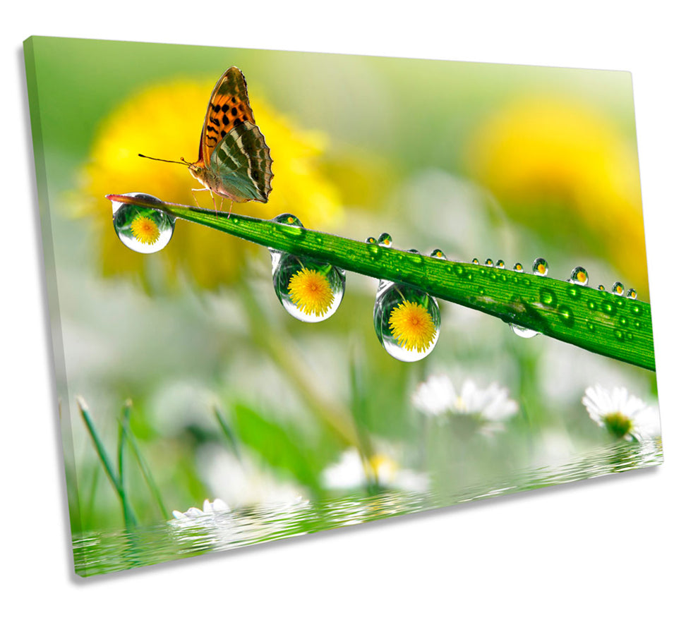 Floral Butterfly Dew Drops