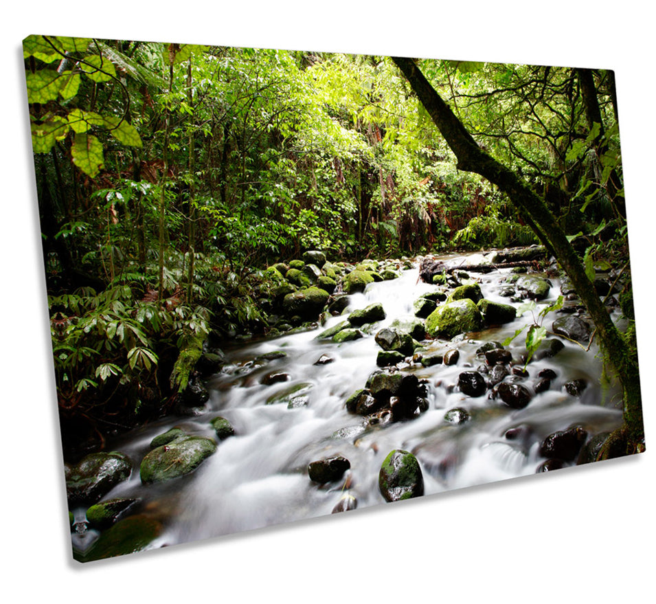 Tropical Forest River Landscape