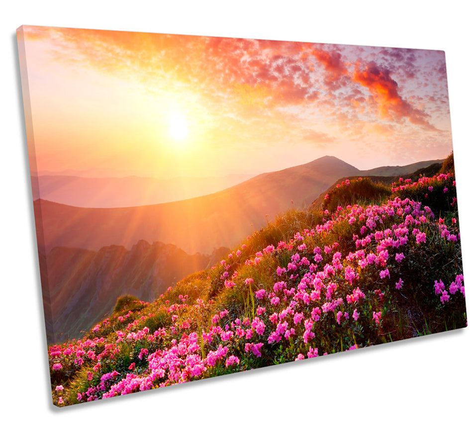 Sunset Landscape Mountain Floral